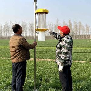 靶向施药、高空测报灯、太阳能杀虫灯……绿色防控让河北麦田更“葱绿”