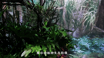 寻觅雨林 博鳌“遇见”五指山