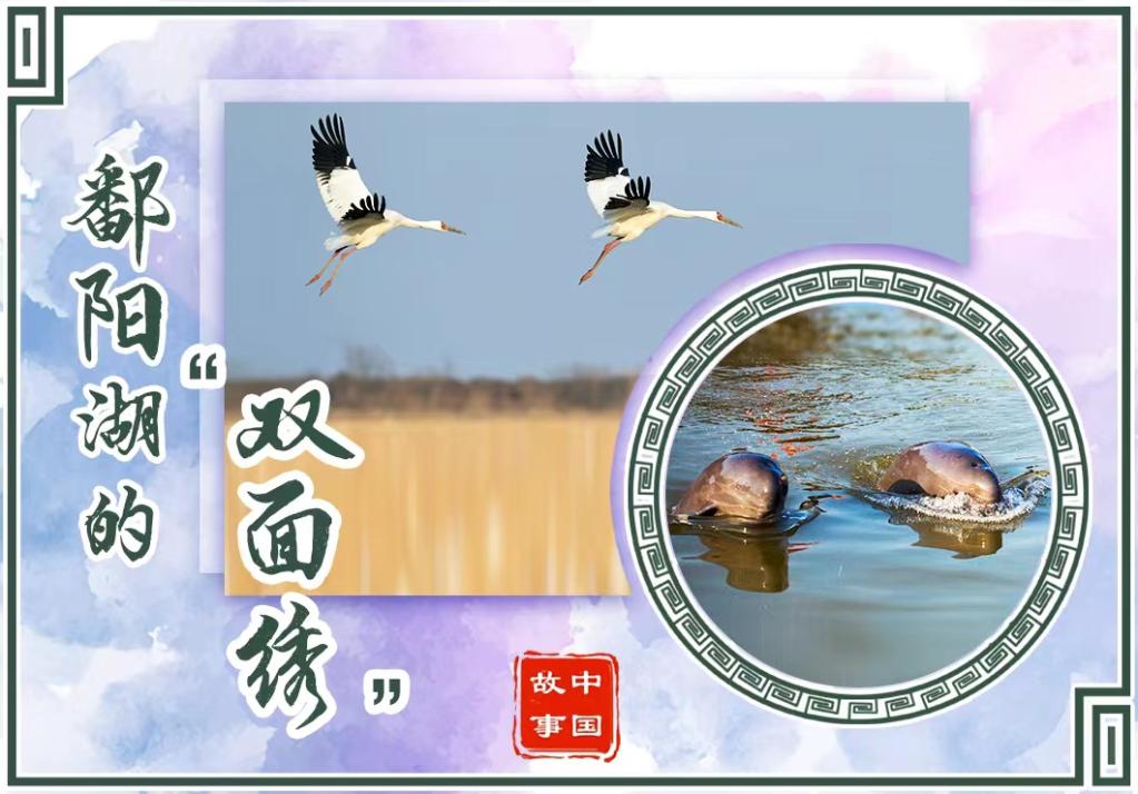 中国故事|鄱阳湖的“双面绣”