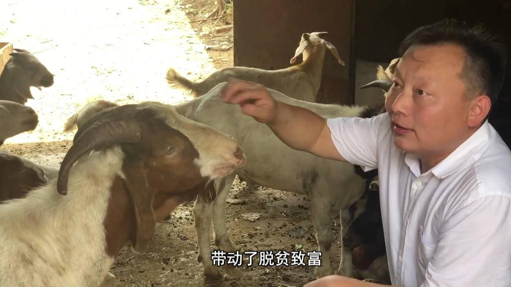 新华全媒+｜驻村故事：乡村振兴 奋斗有我