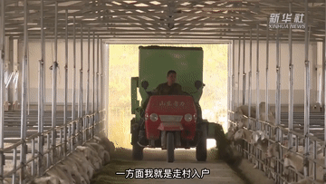 我的就业故事｜姬永锋：做新时代带领乡亲致富的“领头羊”