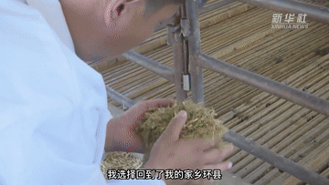 我的就业故事｜姬永锋：做新时代带领乡亲致富的“领头羊”