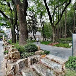微信分享图 拆墙见绿,上海一批公园“无界”融入城市