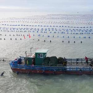 新华全媒+｜耕海牧渔忙“秋收”