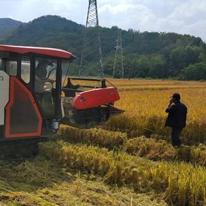 微信分享图 新华全媒+|“收入有了保障,我就有了动力”——安徽多地粮农粮企“结对子”发展见闻