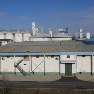 出入有证、存储智能 一粒粮食的“数字之旅”