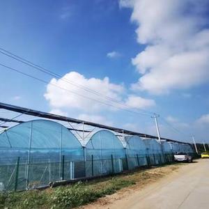 山东宁阳：产业持续“造血”拓宽乡村致富路