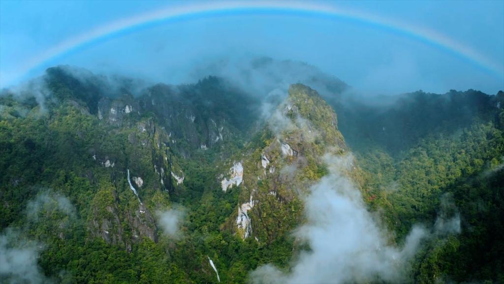 新华全媒+｜高黎贡山国家级自然保护区已发表627种动植物新种