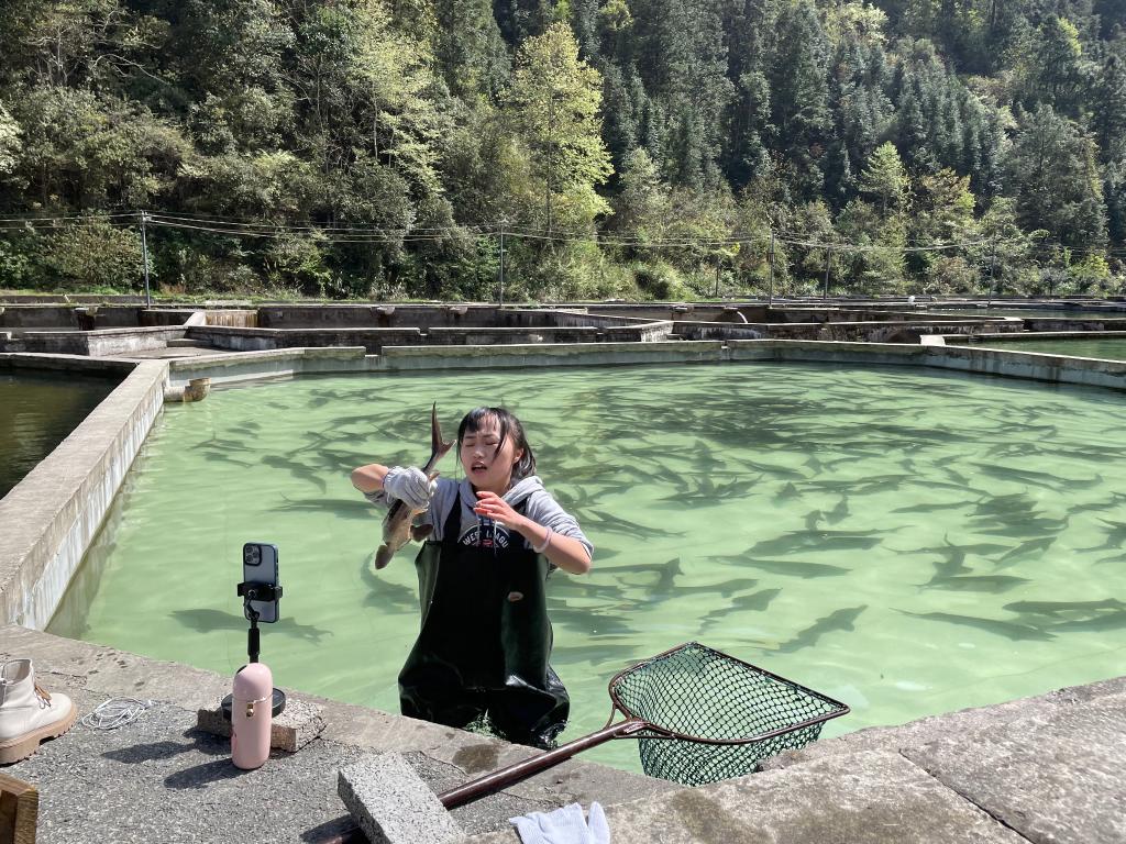 苗寨“新青年”引客入山带货出山