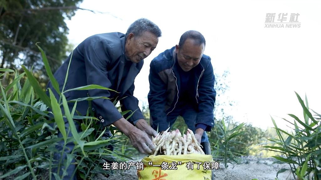 新华全媒+｜从中央农村工作会议看2023年“三农”工作这么干