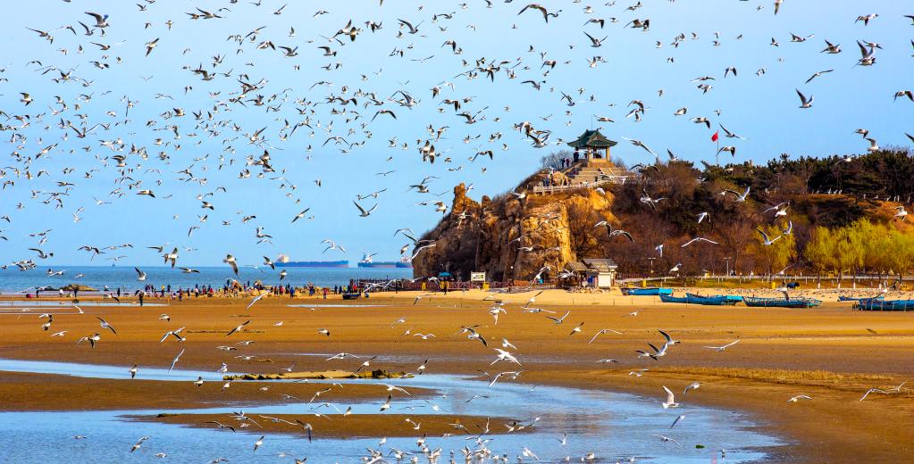 河北46条入海河流河口断面全部消除劣五类