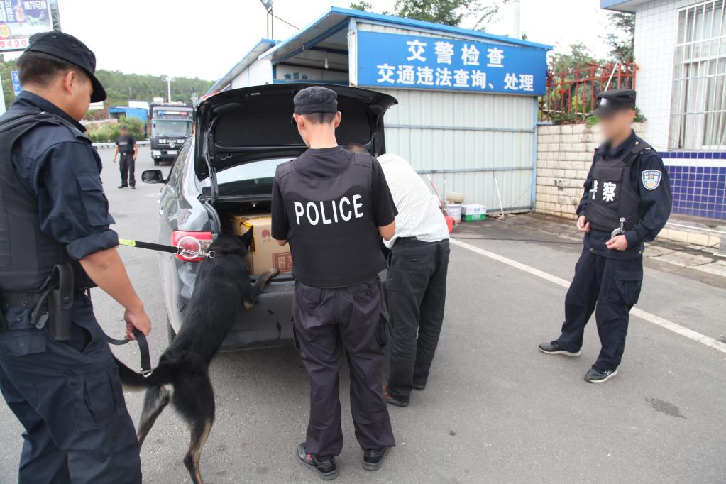 禁毒民警：用牺牲战友的名字当化名 拍照只能留下背影