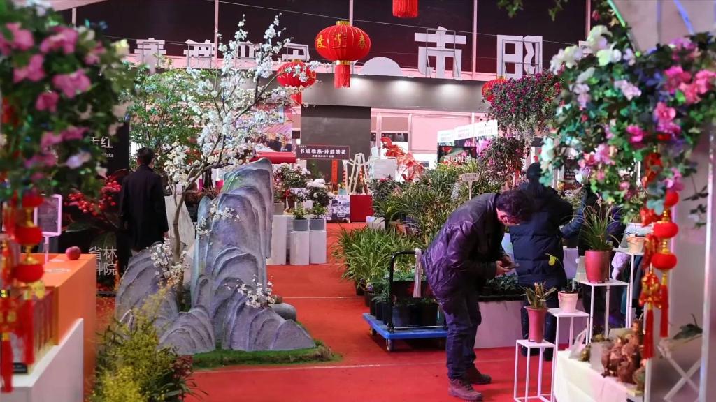 新华全媒+丨贵州：特色年货集中亮相 线上线下共促消费