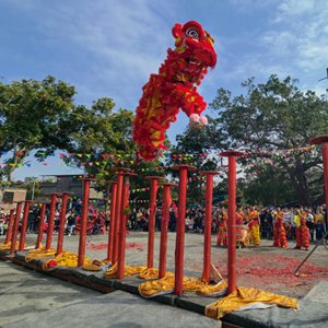 微信分享图 看狮舞:“神秘的东方力量”