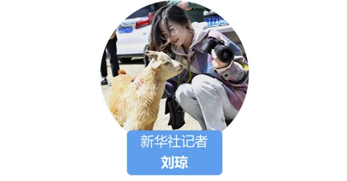 我在现场·照片背后的故事丨四川这一年，那些让我难忘的瞬间