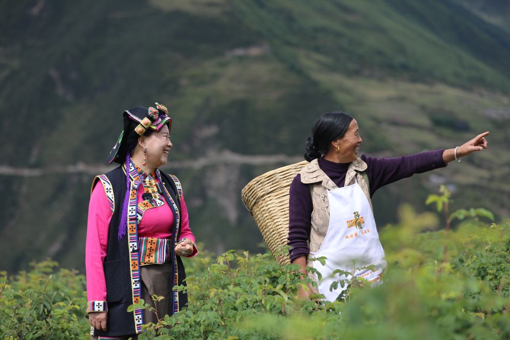 我在现场·照片背后的故事丨四川这一年，那些让我难忘的瞬间
