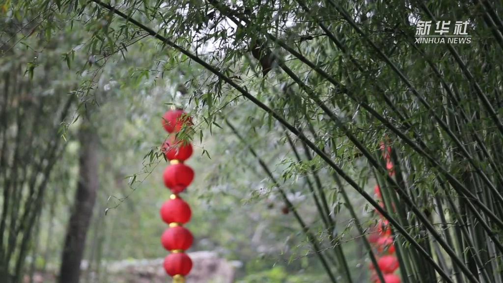 新华全媒+｜生态文旅助推沂蒙小山村变身富裕村