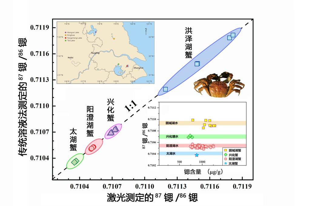 科学家新技术精准定位大闸蟹原产地识破“洗澡蟹”