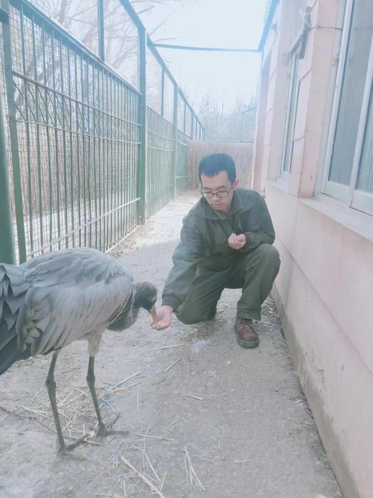 新华全媒+|人鹤共生：湿地大省青海多措并举引来黑颈鹤翔集