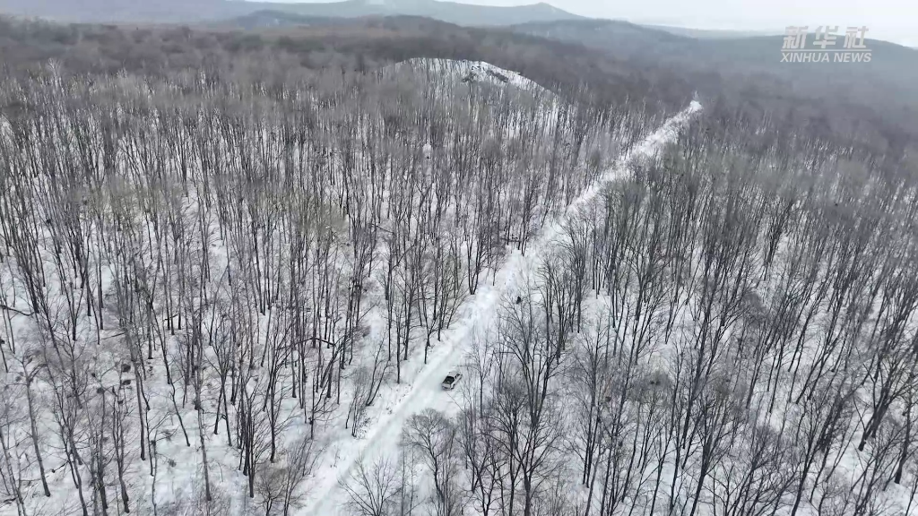 新华全媒+｜冰天雪地里的湿地守护者