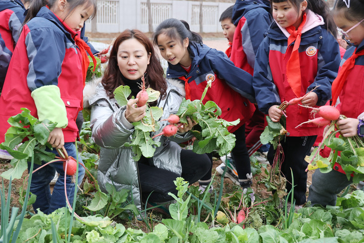 你好！新学期——全国多地中小学开学首日见闻