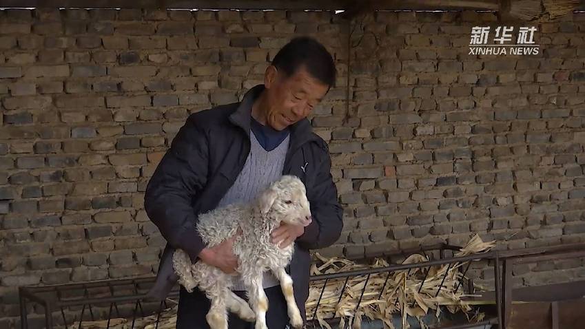 呼和浩特：做好“土特产”文章 奏响乡村春天“序曲”