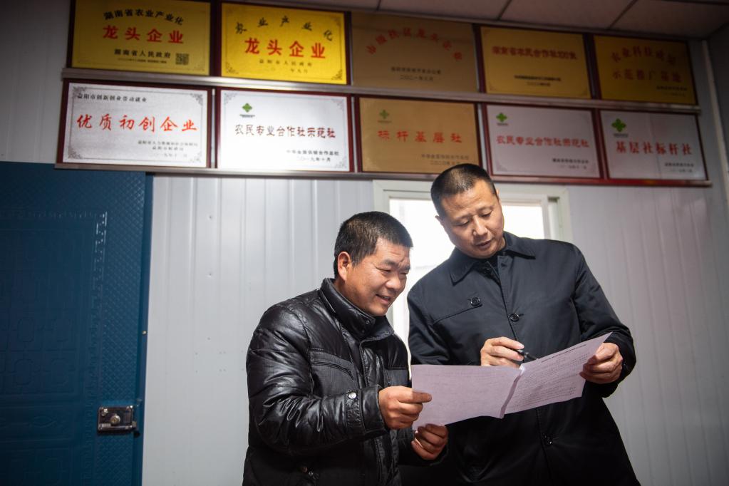 “保姆式”服务、智能化工厂、连片化土地——水稻大省湖南春耕一线观察