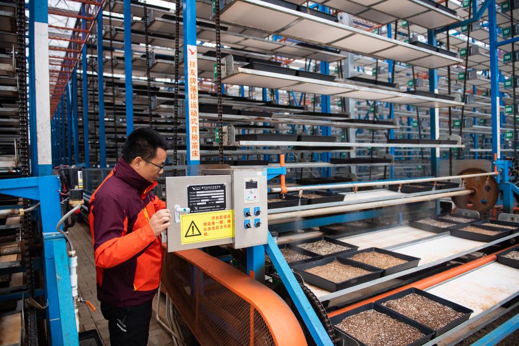 “保姆式”服务、智能化工厂、连片化土地——水稻大省湖南春耕一线观察