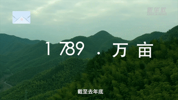 晒晒家乡的“成绩单”丨385万立方米的林木蓄积量