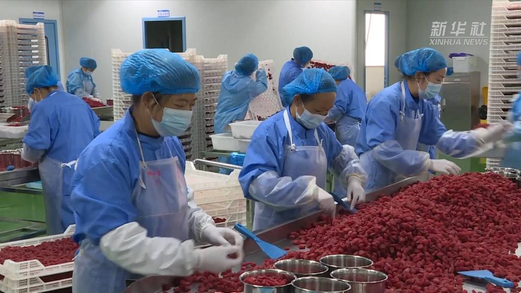 强信心·开新局丨一个西南小镇的“高速”转身