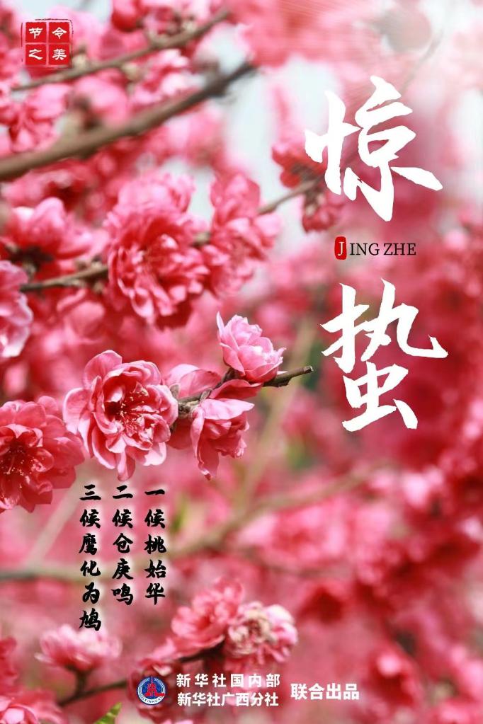 节令之美·惊蛰丨春雷响，天渐暖，万物生机盎然