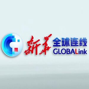 微信分享图 全球连线丨向全球市场进军!“重庆造”新能源汽车加速“出海”