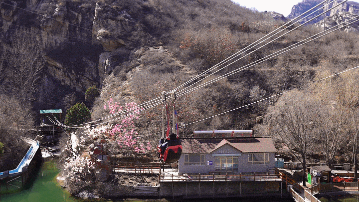 花已开,相约共赴春日盛景 —北京清凉谷风景区