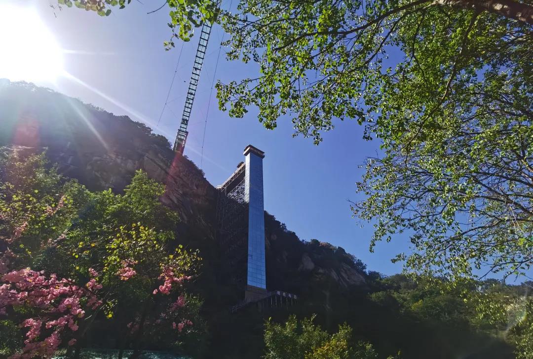 花已开,相约共赴春日盛景 —北京清凉谷风景区