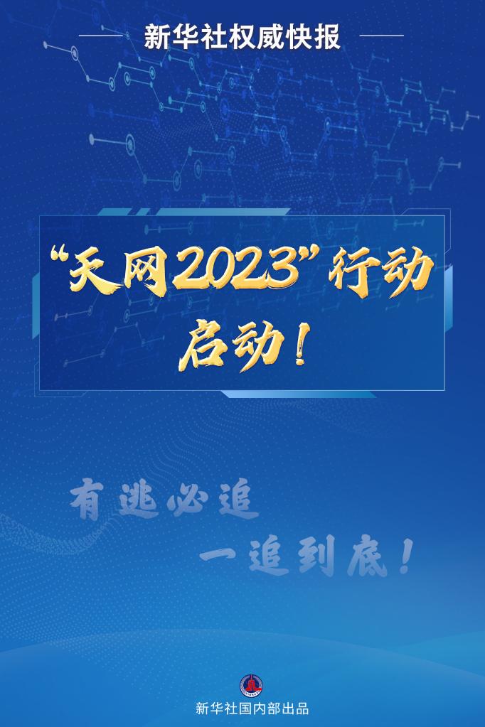 权威快报丨“天网2023”行动启动！