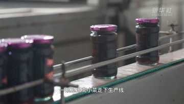 走进企业看信心｜一碟小菜如何做成致富大产业