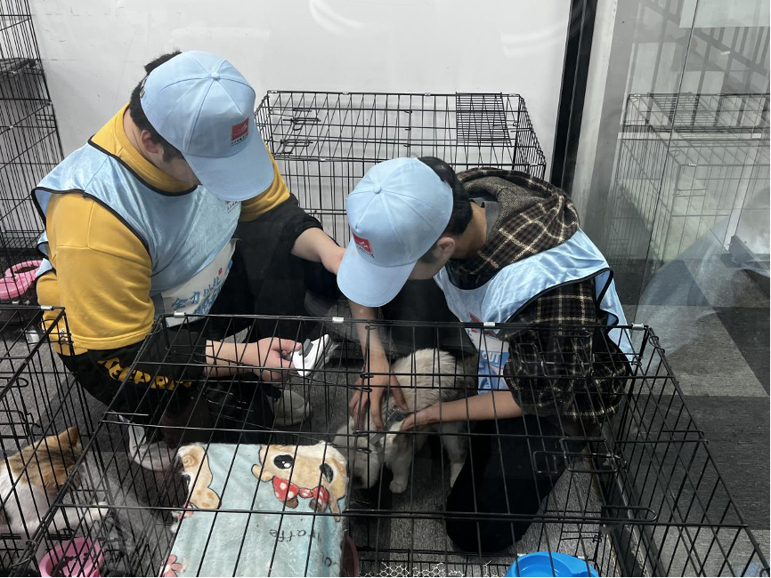 重庆一高校开展“社会体验课”，一堂课48小时，实现让社会成为课堂！