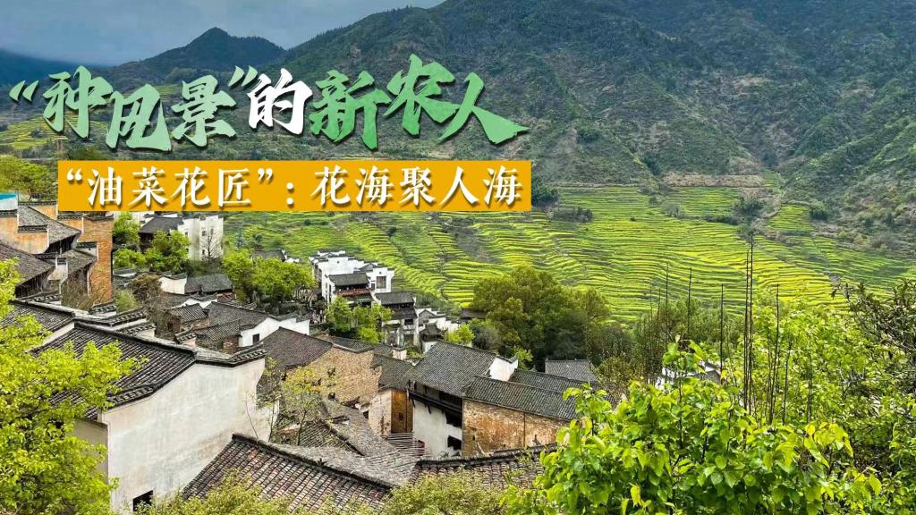 “种风景”的新农人丨“油菜花匠”：花海聚人海