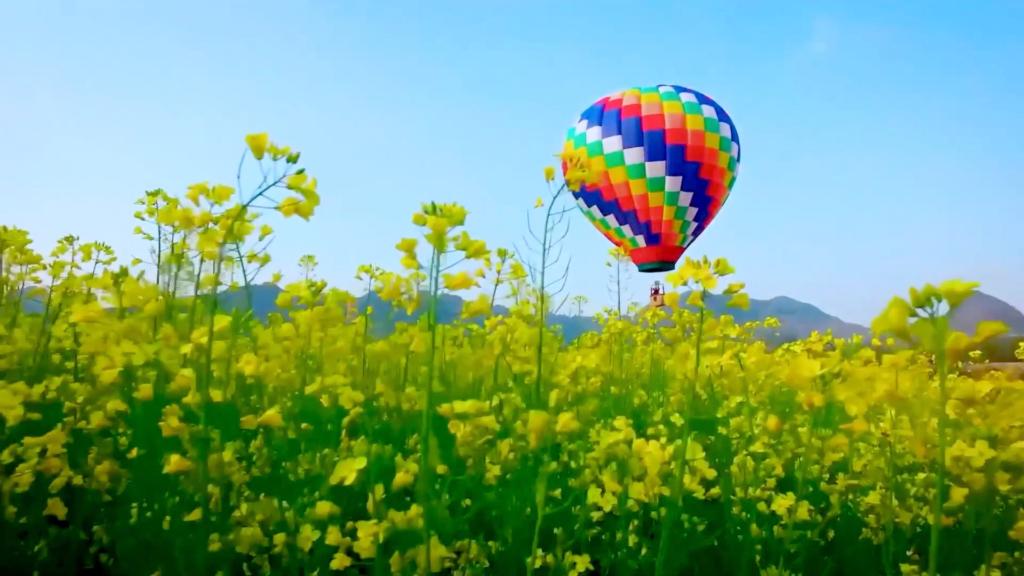 解码首季经济数据｜一路鲜花一路歌 春日经济暖意浓