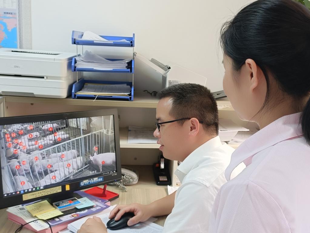 数字技术畅通福建乡村产业振兴金融血脉