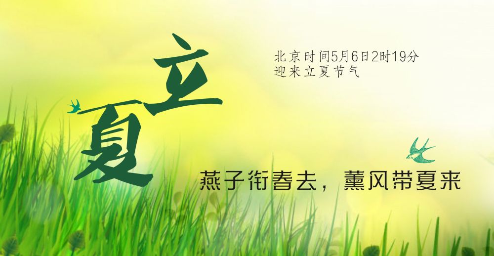 动图插画丨立夏：夏浅胜春最可人