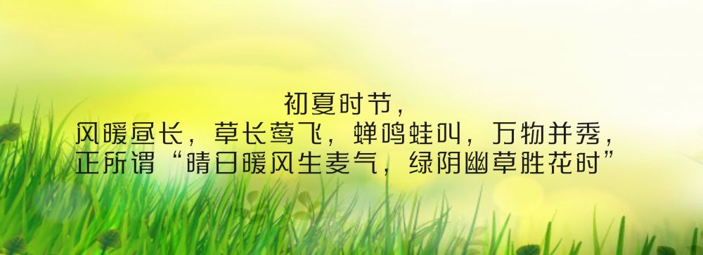动图插画丨立夏：夏浅胜春最可人