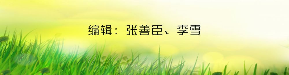 动图插画丨立夏：夏浅胜春最可人