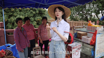 1300岁的荔枝树，唐朝人吃的也是这种味道吗？