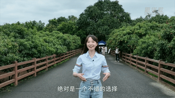 1300岁的荔枝树，唐朝人吃的也是这种味道吗？