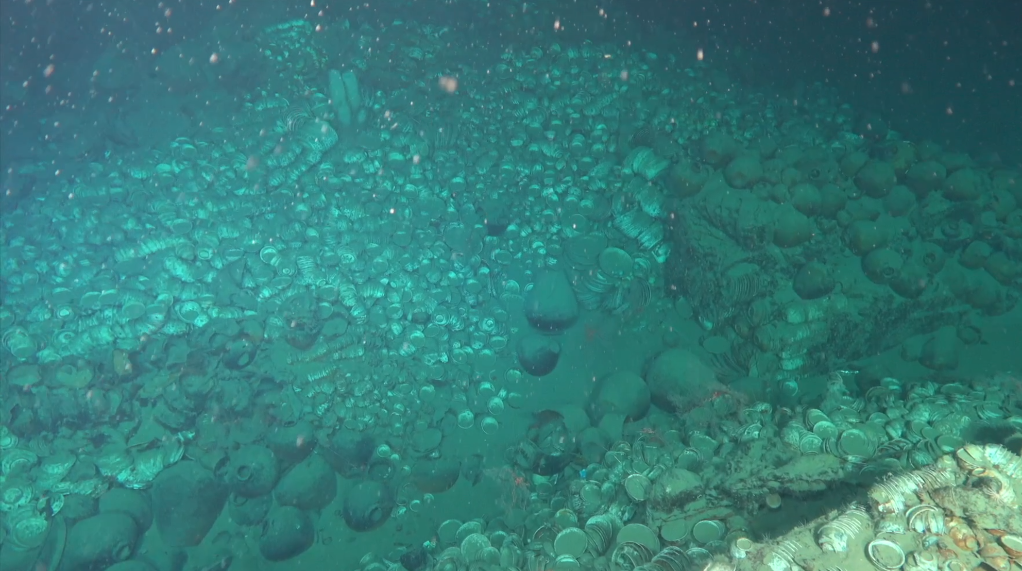 我国南海发现两处古代沉船 沉船水下永久测绘基点已布放
