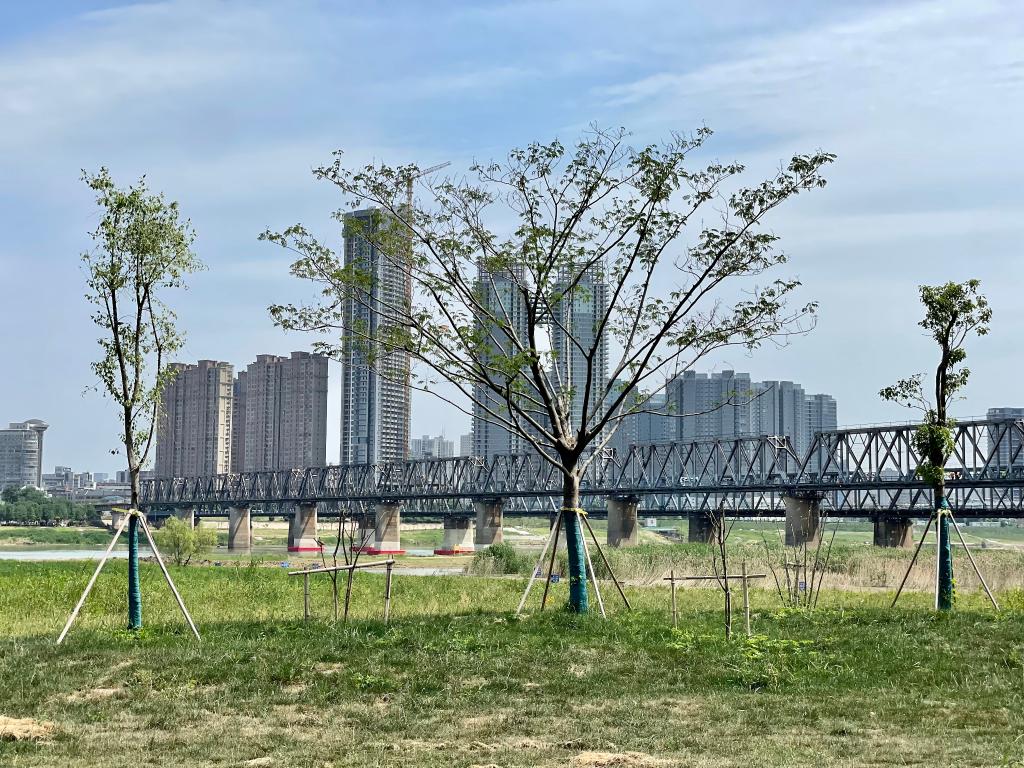 高质量发展调研行丨记者手记：只道是“寻常”的淮河生态之变
