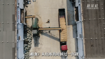 记者深入夏收一线，看粮食减损新成效