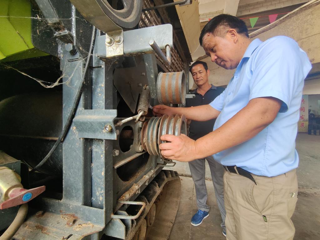 做好“加减法” 增粮有实招——部分粮食主产区一线扫描