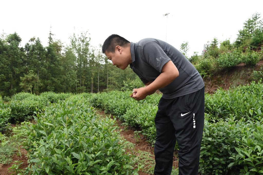 贵州贞丰：高校“智囊团”助力山乡振兴
